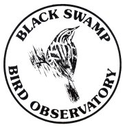 BSBO_logo 2