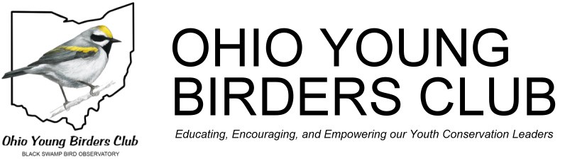 http://www.ohioyoungbirders.org