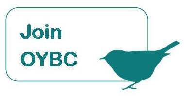 Join OYBC Join OYBC