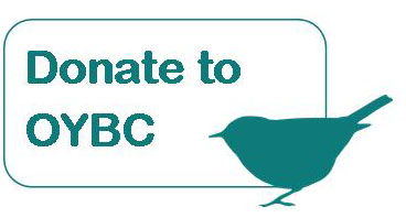 Donate to OYBC Donate to OYBC